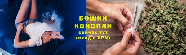 бошки Ельня