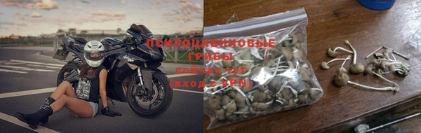 дурь Елабуга