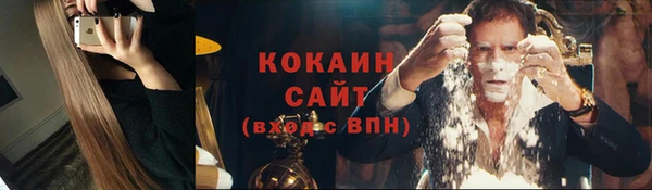 бошки Ельня