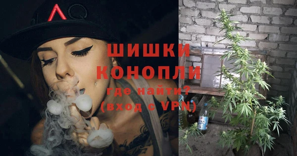 бошки Ельня