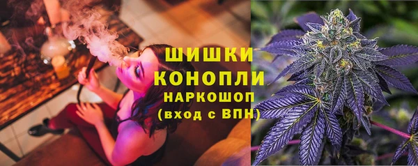 бошки Ельня