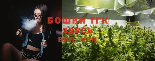 дурь Елабуга