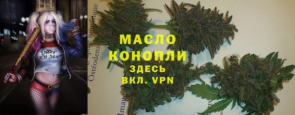 бошки Ельня